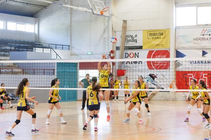 0633-2.jpg