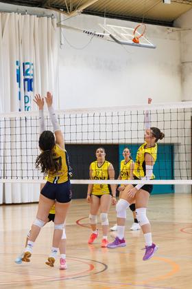 0739-2.jpg
