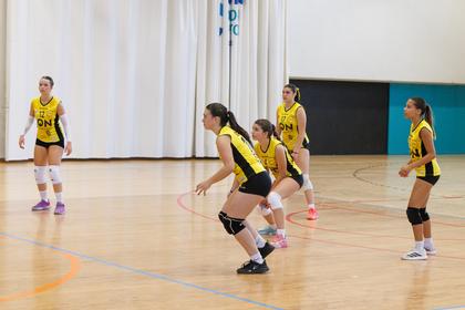0883-2.jpg