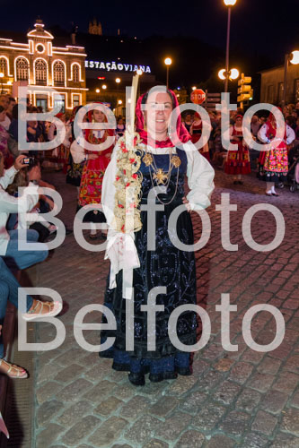 _MG_7231.jpg