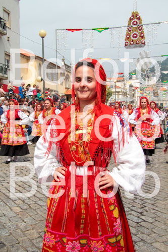 _MG_6564.jpg