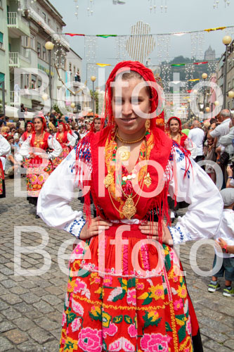_MG_6583.jpg