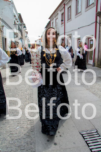_MG_7001.jpg