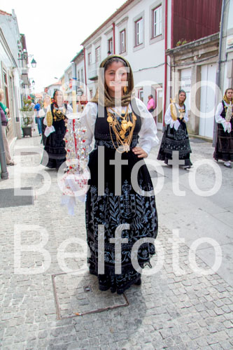 _MG_7003.jpg