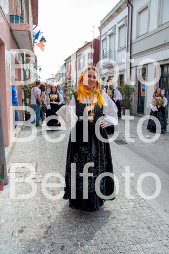 _MG_7020.jpg