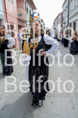 _MG_7022.jpg