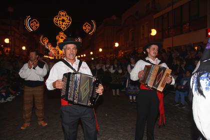 2194.jpg