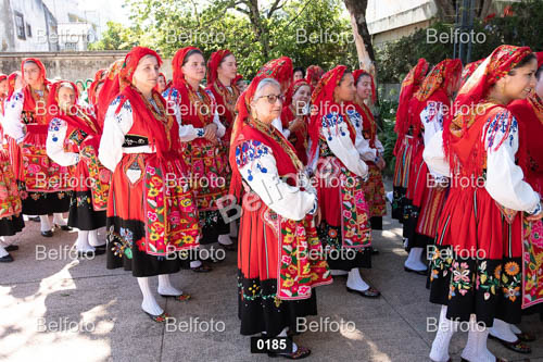 0185.jpg