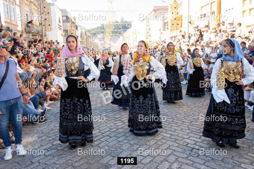 1195.jpg