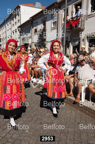 2953.jpg