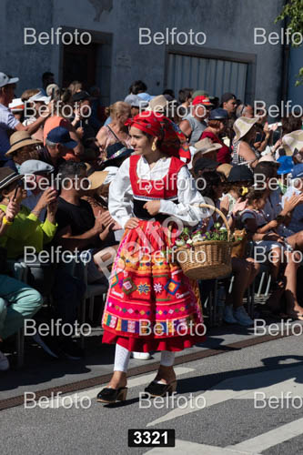 3321.jpg