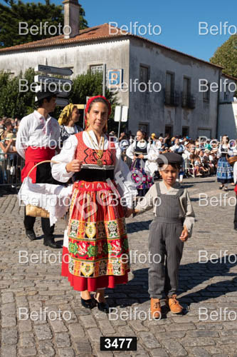 3477.jpg