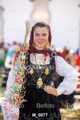 M_0077.jpg