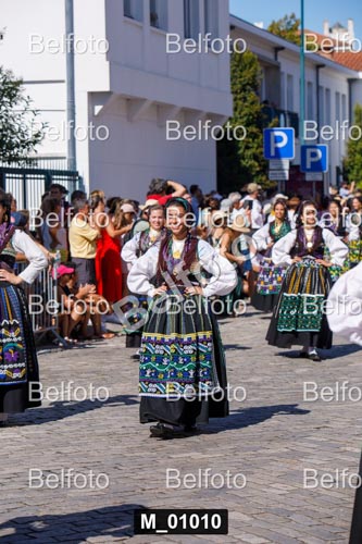 M_01010.jpg