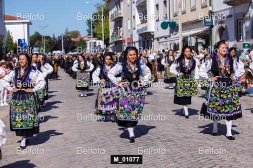 M_01077.jpg