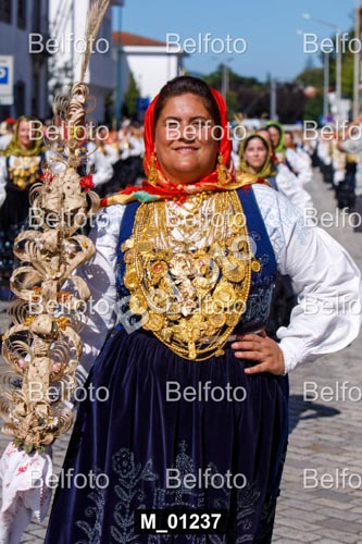 M_01237.jpg