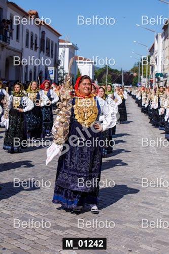 M_01242.jpg