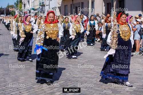M_01247.jpg