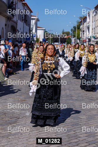 M_01282.jpg
