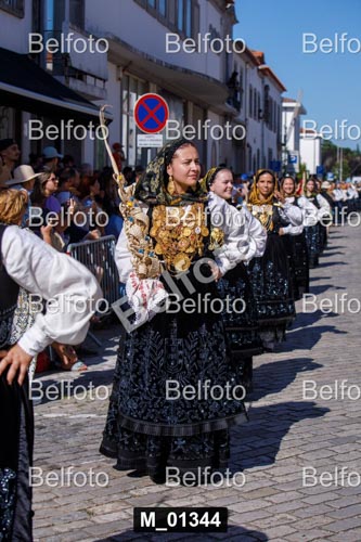 M_01344.jpg
