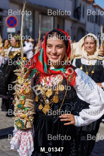 M_01347.jpg