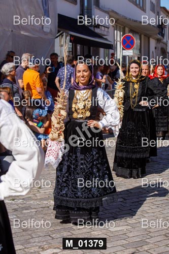 M_01379.jpg