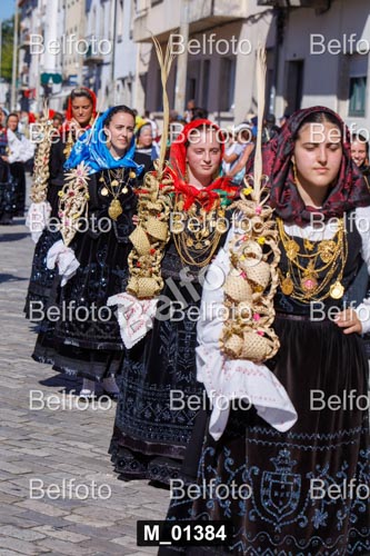 M_01384.jpg