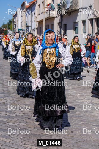 M_01446.jpg