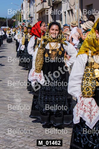 M_01462.jpg