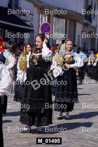 M_01495.jpg