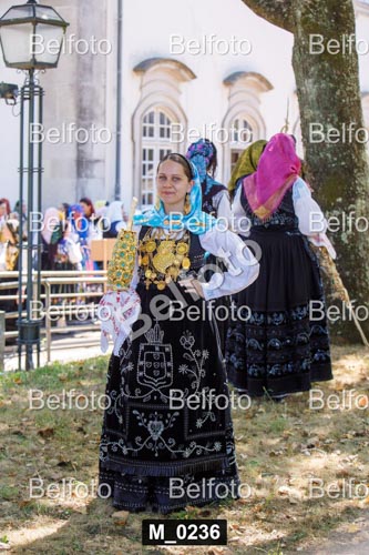 M_0236.jpg