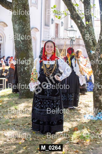 M_0264.jpg