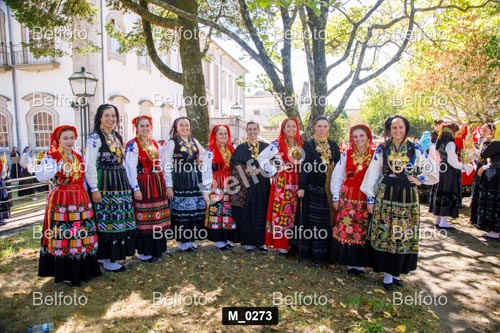 M_0273.jpg