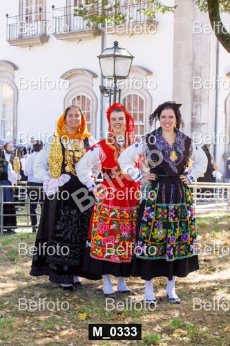M_0333.jpg