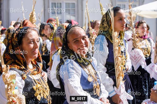 M_0517.jpg