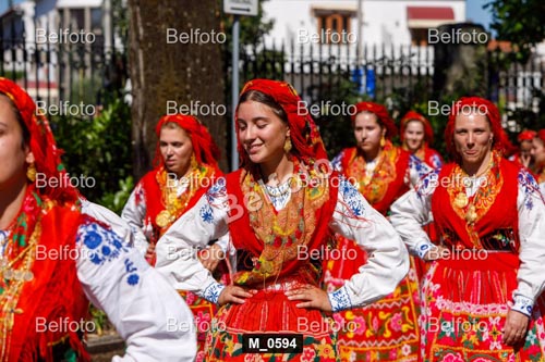 M_0594.jpg