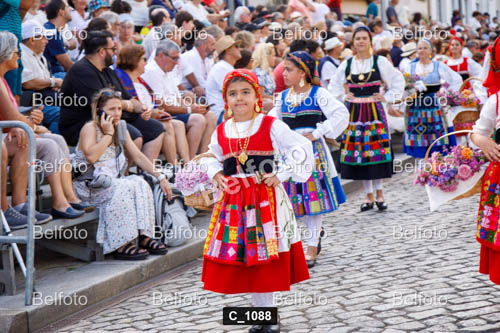 C_1088.jpg