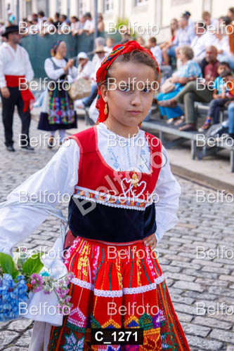 C_1271.jpg