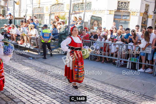 C_1449.jpg