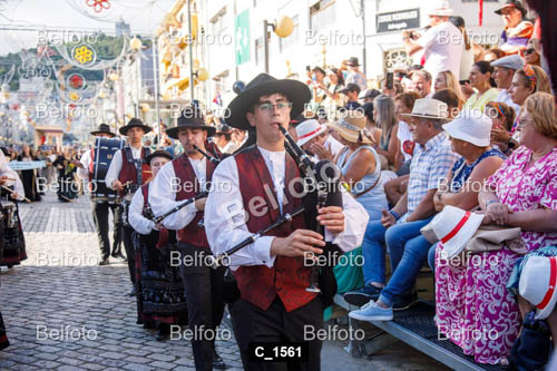 C_1561.jpg