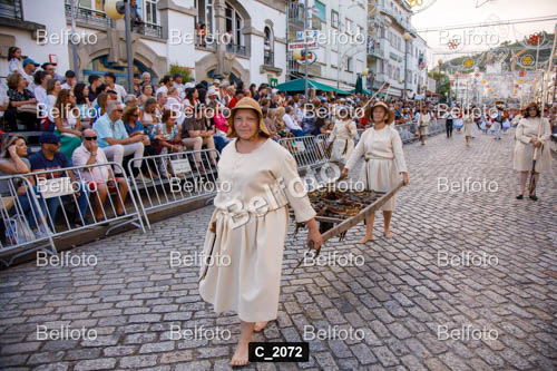 C_2072.jpg