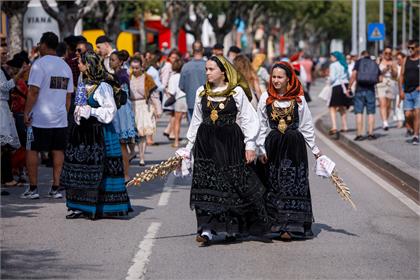 2540.jpg