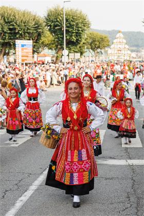 4137.jpg