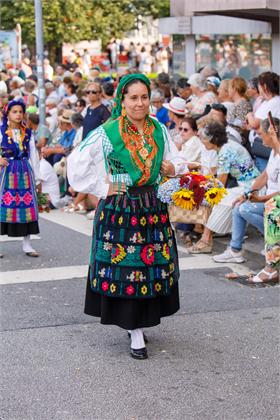 4173.jpg