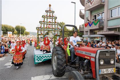 4193.jpg
