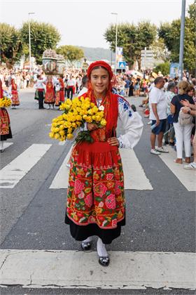 4222.jpg
