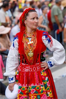 4239.jpg