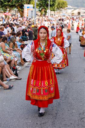 4471.jpg