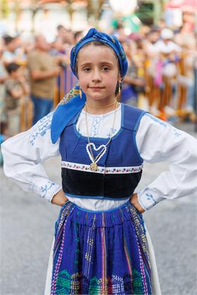 4533.jpg