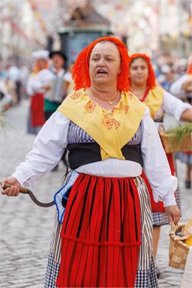 Cortejo2026_1616.jpg